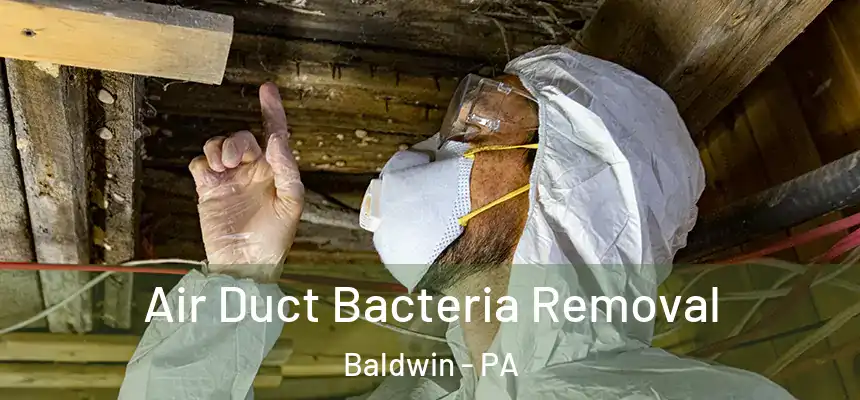Air Duct Bacteria Removal Baldwin - PA