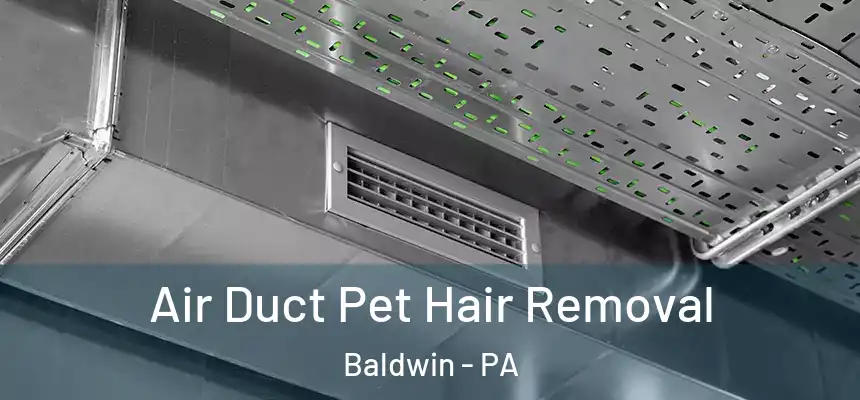  Air Duct Pet Hair Removal Baldwin - PA