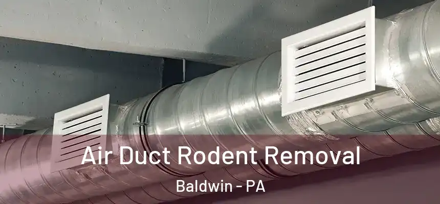  Air Duct Rodent Removal Baldwin - PA