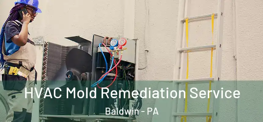 HVAC Mold Remediation Service Baldwin - PA
