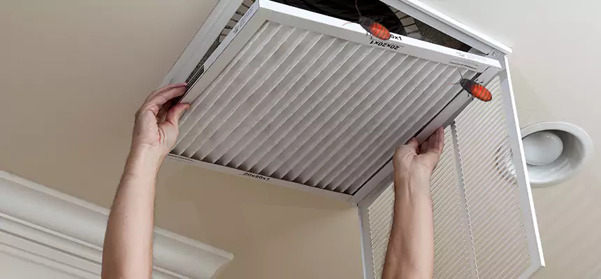 Our Insect Removal from Air Ducts Services in Baldwin, PA