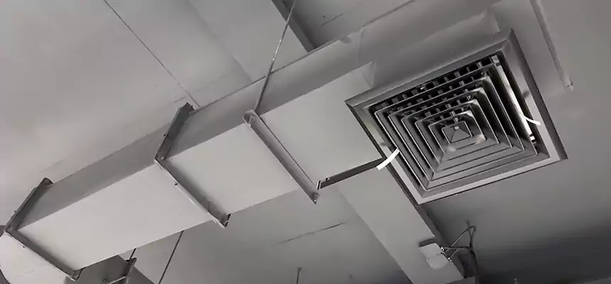 Our Pest Removal From Ducts Services in Baldwin, PA