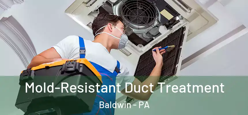  Mold-Resistant Duct Treatment Baldwin - PA