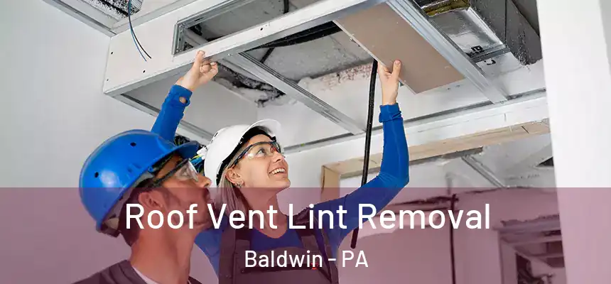 Roof Vent Lint Removal Baldwin - PA