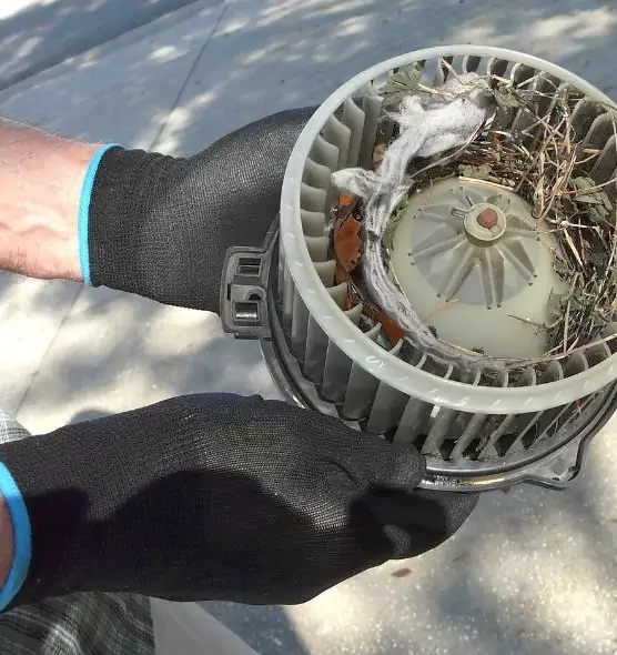 About Air Duct Mice Removal in Baldwin, PA