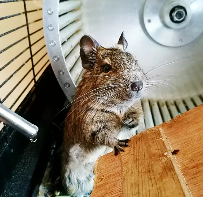 Why Homeowners & Businesses Trust Us Baldwin, PA?